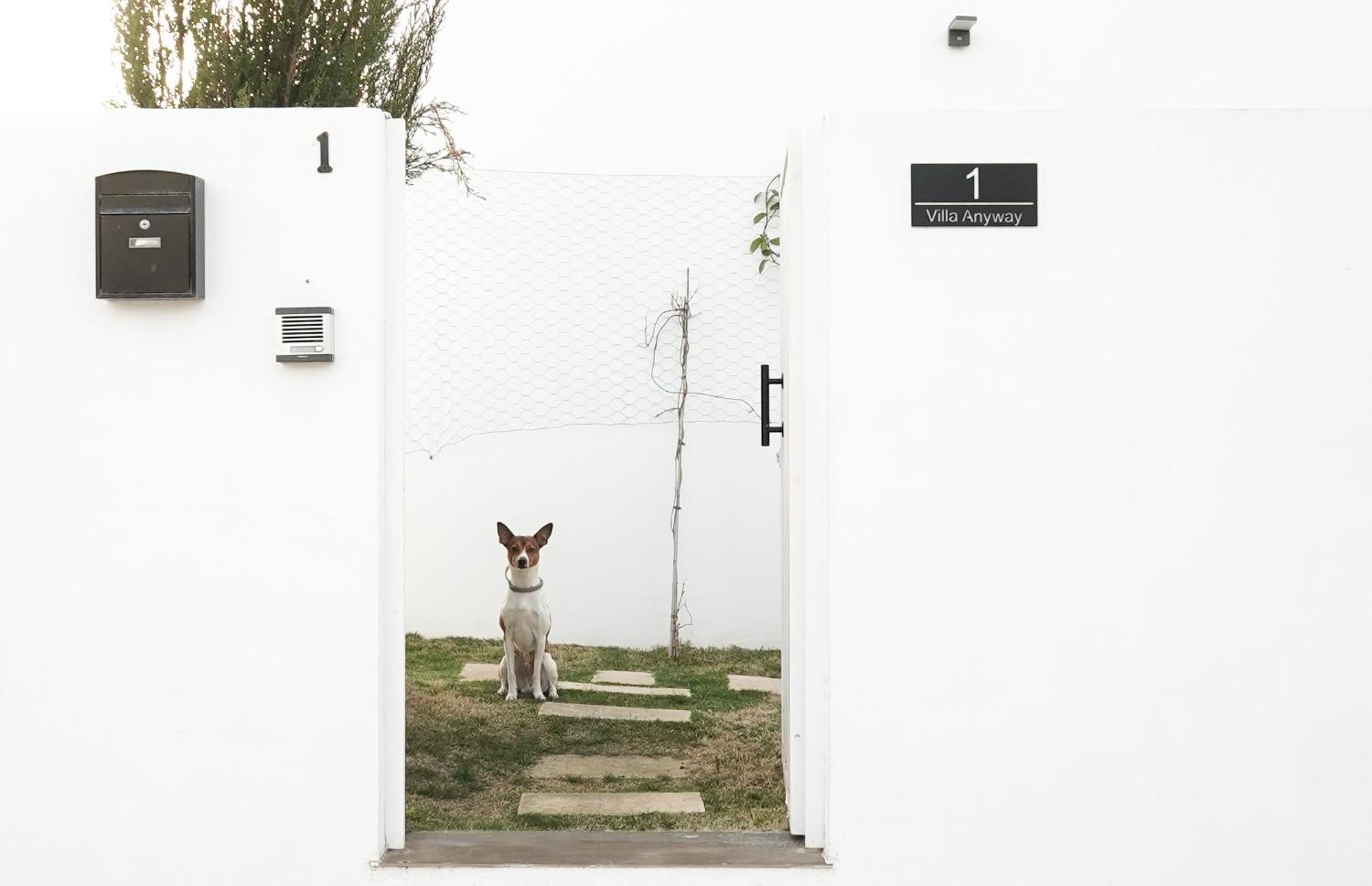 Villa Anyway Conil Un Lujo Frente Al Mar Conil De La Frontera Exterior foto
